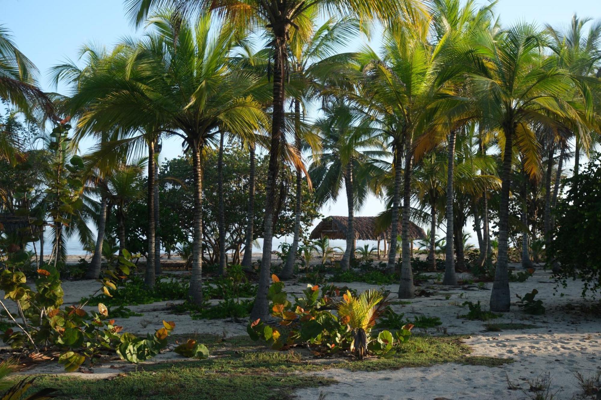 Hotel Playa Bonita Tayrona Buritaca Exteriör bild