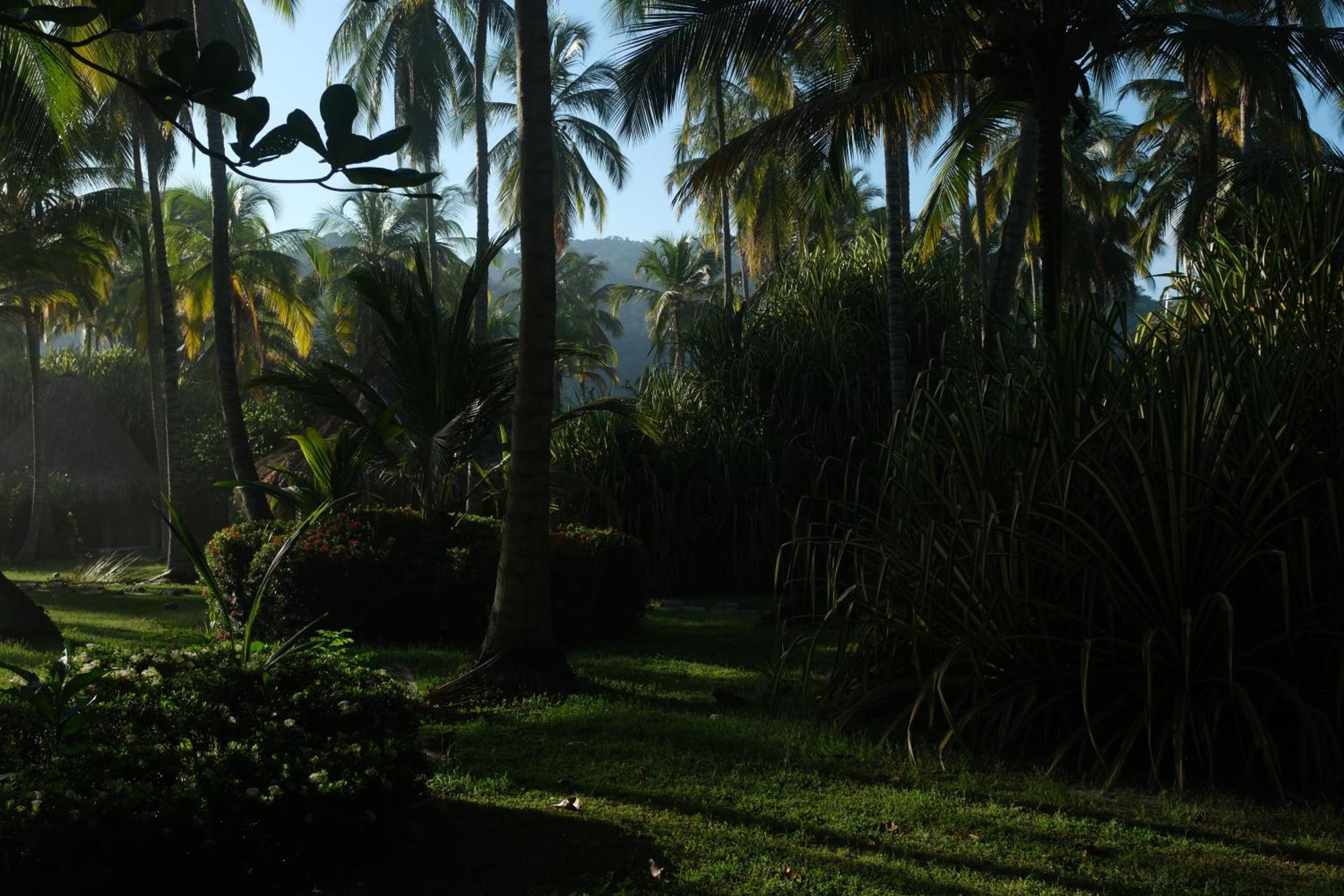 Hotel Playa Bonita Tayrona Buritaca Exteriör bild